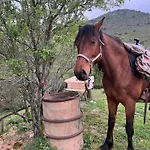 Yourte Mongole Insolite - Saint Roch Chalet Tuchan