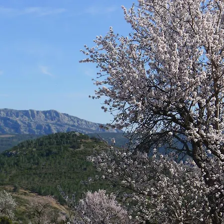 木屋 Yourte Nature / Saint Roch Tuchan