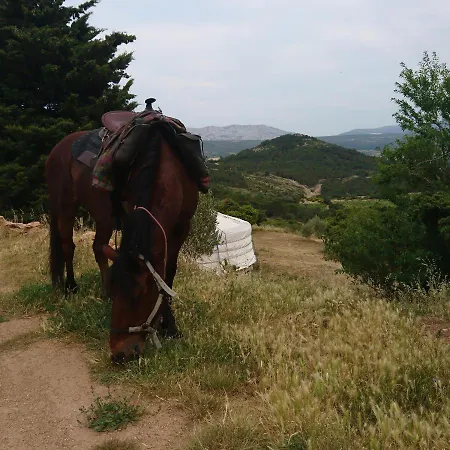 Yourte Mongole Insolite - Saint Roch