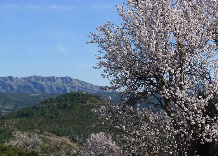 בקתה Yourte Mongole Insolite - Saint Roch Tuchan