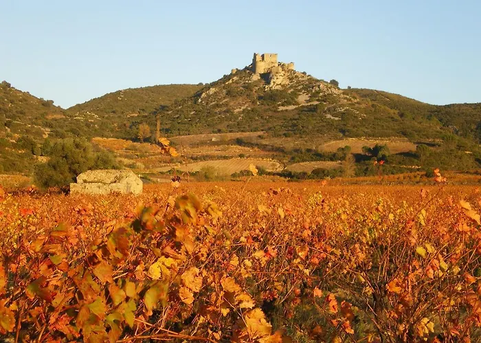 Yourte Mongole Insolite - Saint Roch * Tuchan