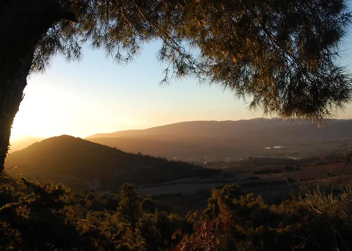 Yourte Mongole Insolite - Saint Roch *